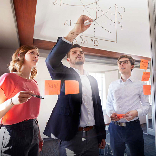 careers and outcomes bmp